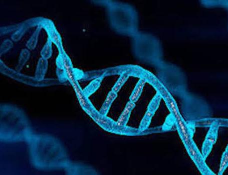 Gene Therapy